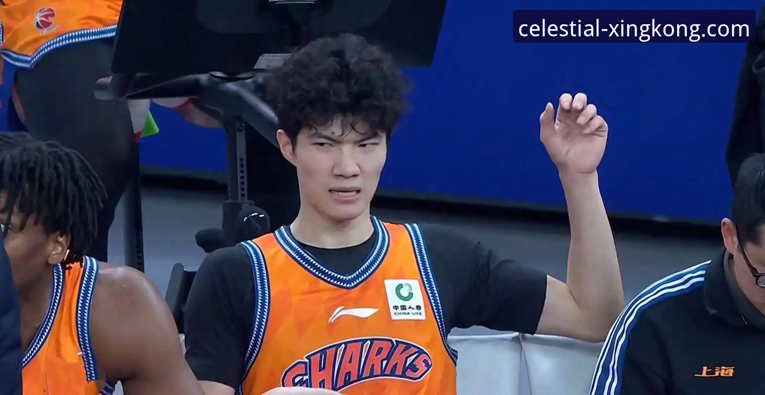 揭秘CBA爆冷夜：皮特森三分雨背后的战术博弈与平台观赛新体验